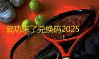 武功来了兑换码2025最新一览